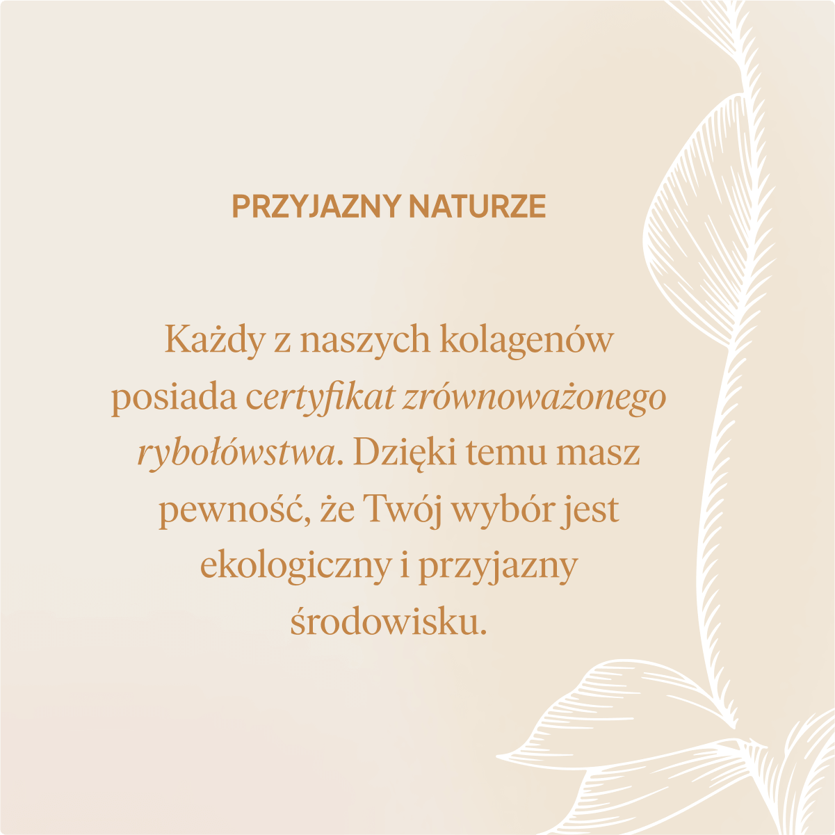 Ceneo: Natu.Care Kolagen Premium 10000 mg, mango-marakuja