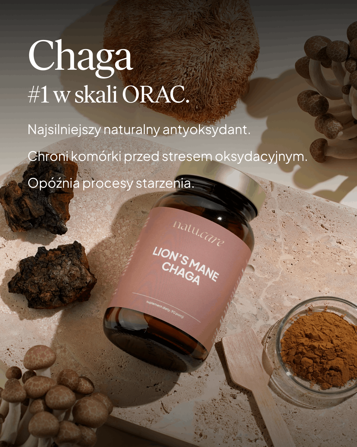 Adaptogeny: Lion's Mane + Chaga, soplówka jeżowata