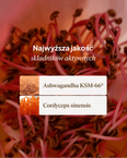Adaptogeny: Ashwagandha & Cordyceps
