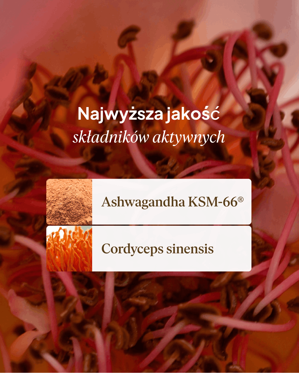 Adaptogeny: Ashwagandha & Cordyceps