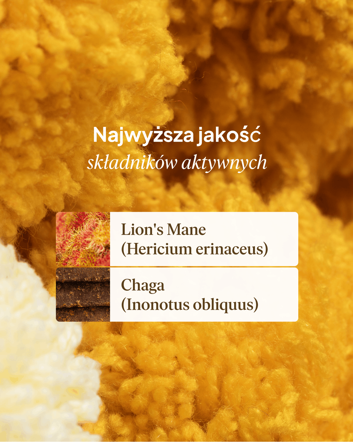 Adaptogeny: Lion's Mane + Chaga, soplówka jeżowata
