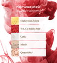 Formuła Żelazo