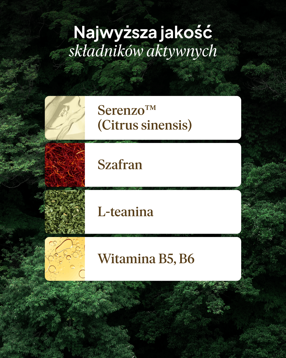 Formuła Stres