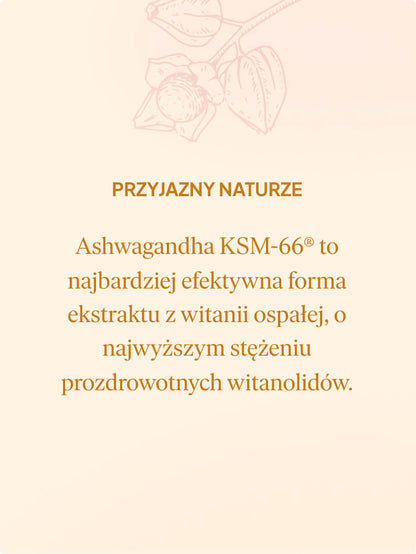 Wegańskie żelki na sen, ashwagandha KSM-66, ananas