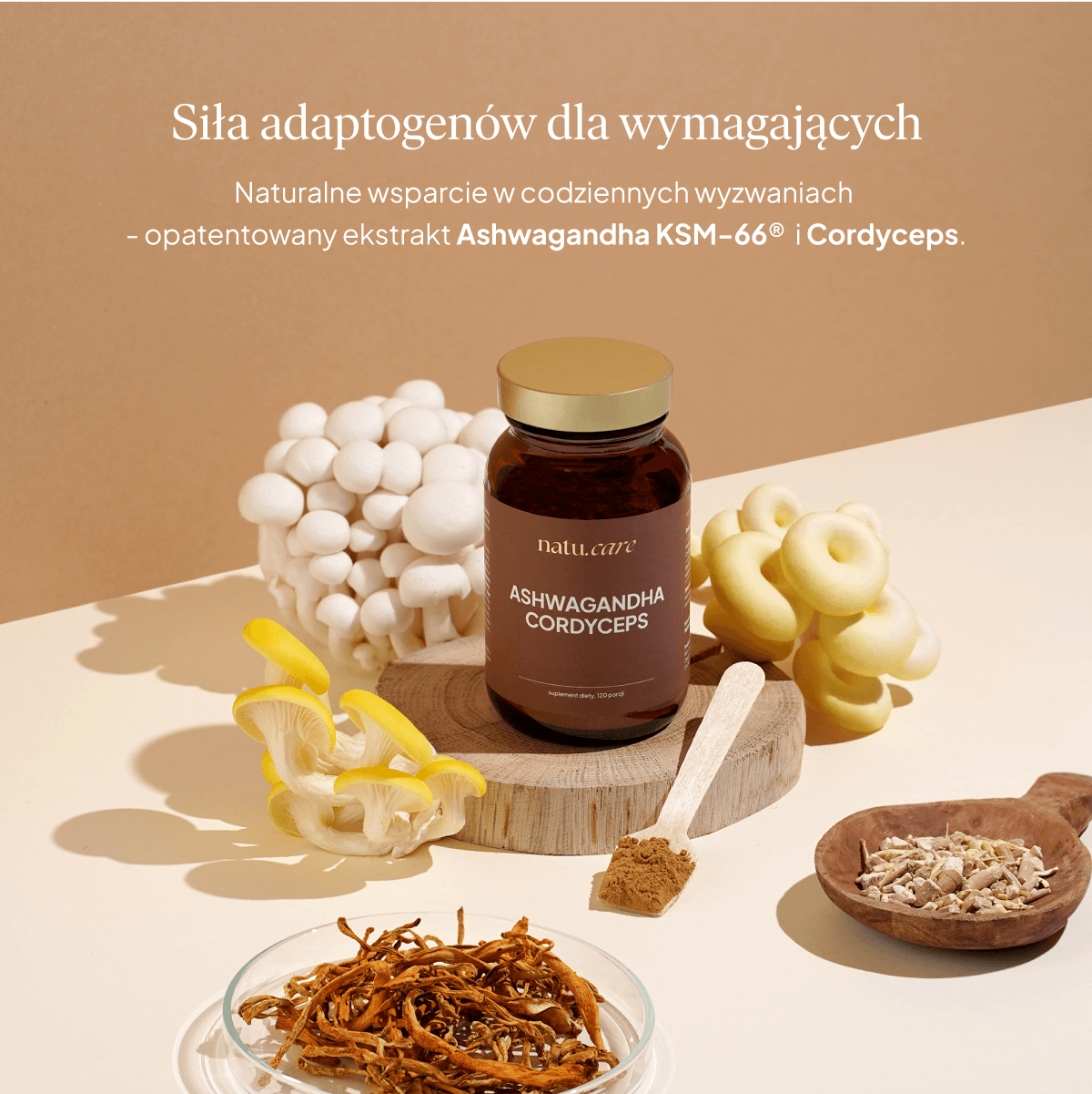 Zestaw Performance & Focus – energia, siła i skupienie