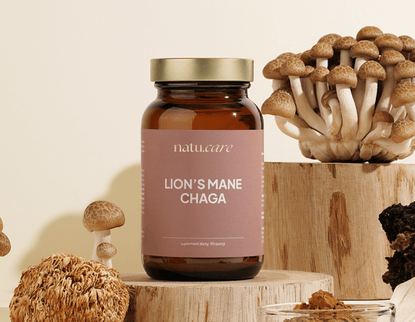 Ceneo: Natu.Care Adaptogeny: Lion's Mane + Chaga, soplówka jeżowata