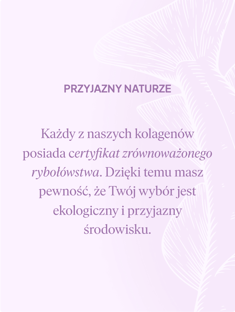 Kolagen Premium 5000mg, jeżyna: tester 3 saszetki