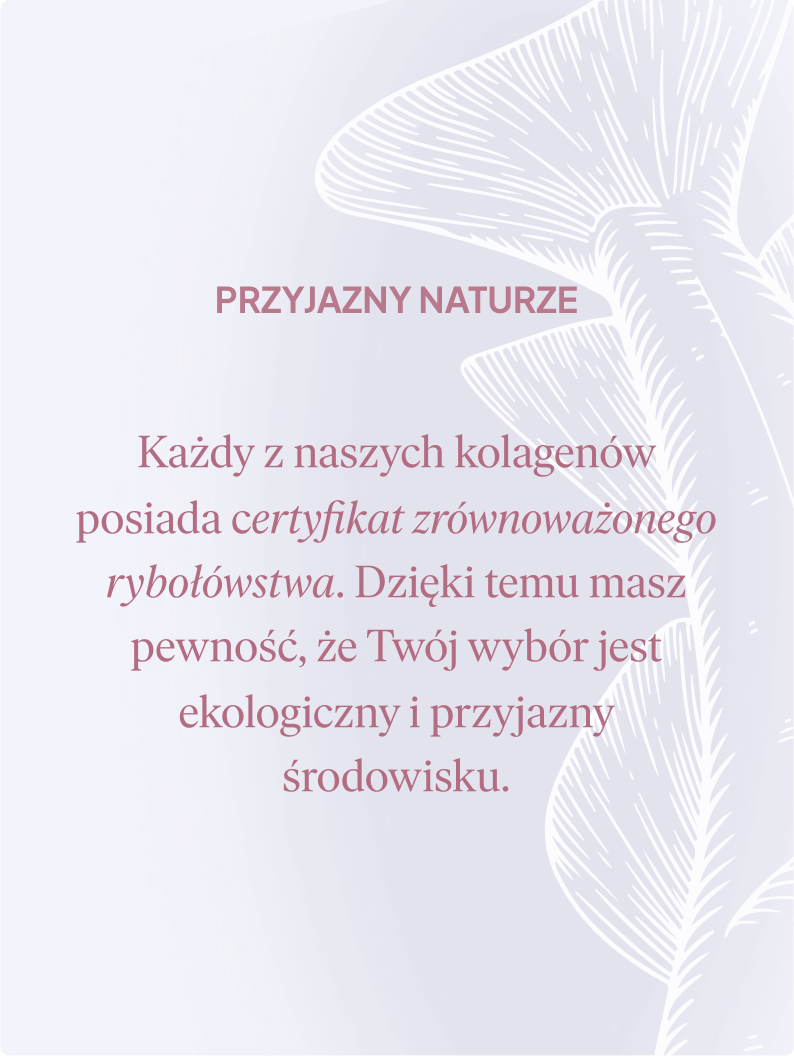 Kolagen 3000 mg, czarna porzeczka