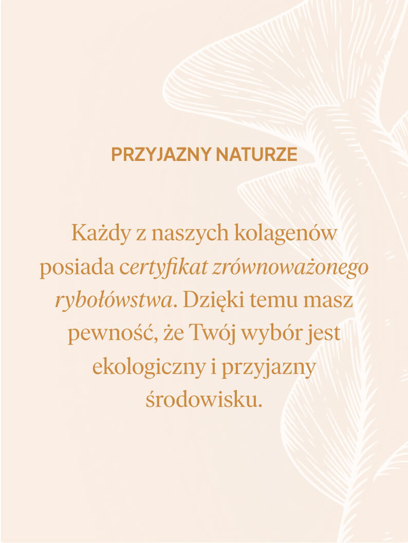 Kolagen 3000 mg, pomarańcza